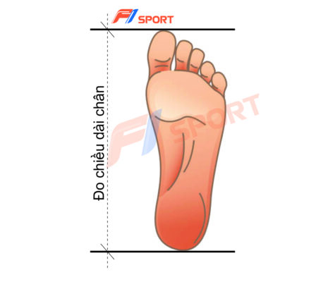 Cách chọn size giày đá banh | F1sport